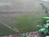 image of grave number 528260